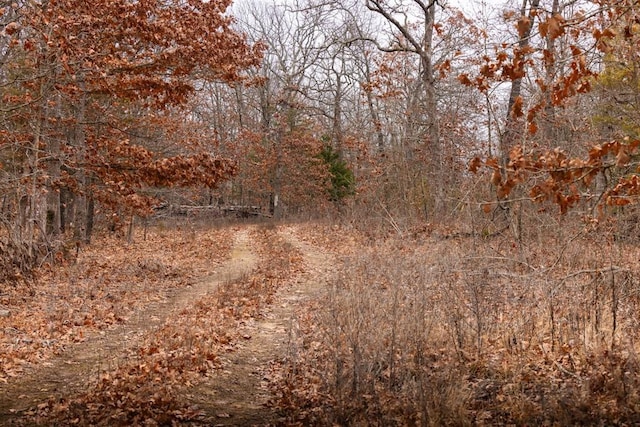 view of landscape