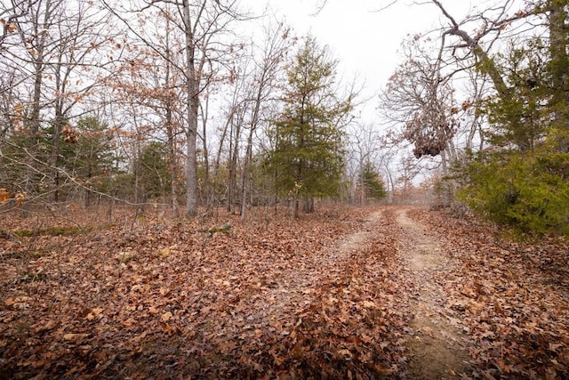 view of local wilderness