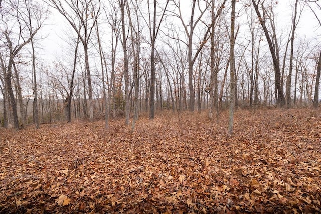 view of local wilderness