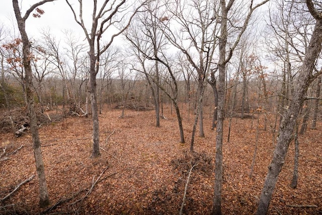 view of local wilderness