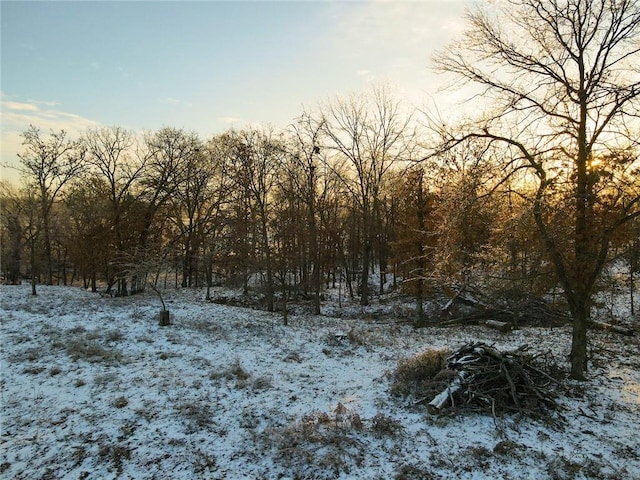 Listing photo 3 for TBD Moles Rd, El Dorado Springs MO 64744