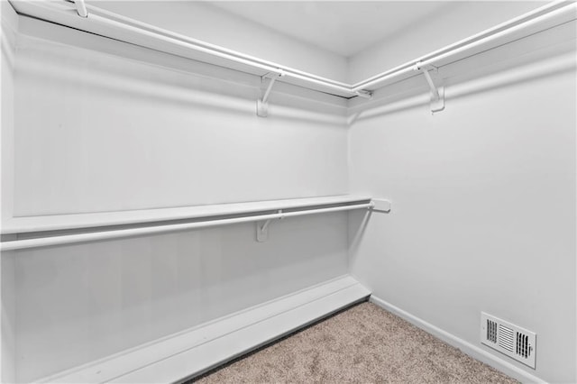 spacious closet with carpet flooring