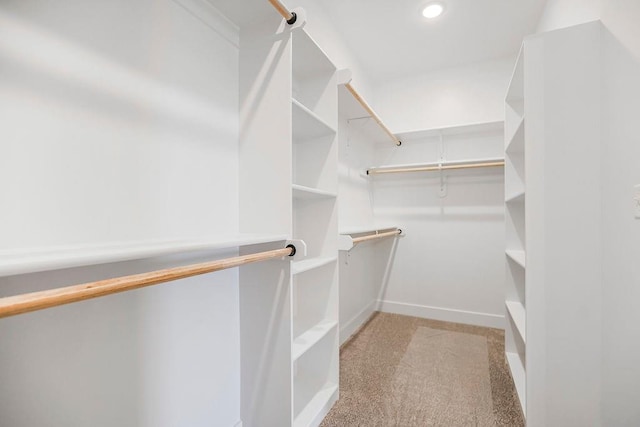 220 SW Chelmsford Dr, Blue Springs, MO 64015 - spacious closet with light colored carpet