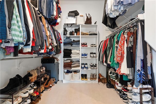 spacious closet featuring carpet