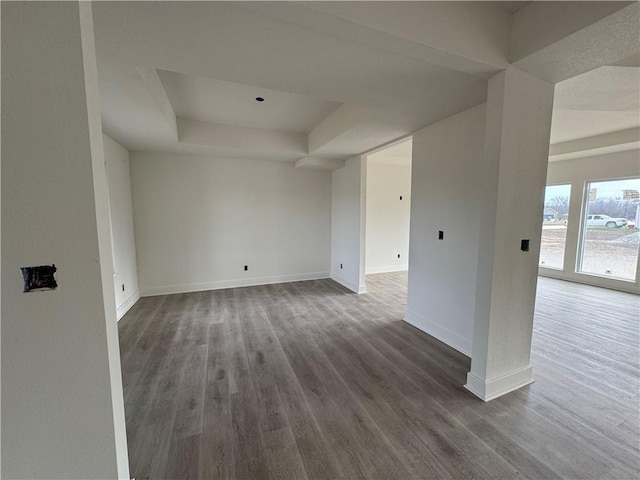 spare room with a raised ceiling and wood-type flooring