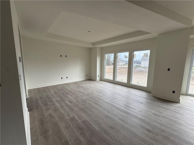 unfurnished room featuring a tray ceiling