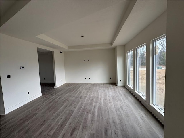 unfurnished room with a tray ceiling and wood-type flooring