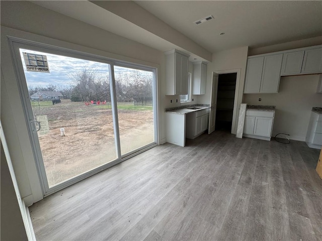 kitchen featuring white cabinetry, sink, and light hardwood / wood-style flooring