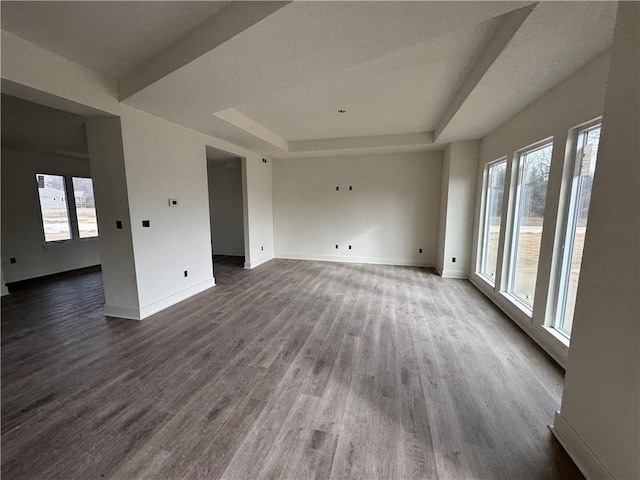 unfurnished living room with a tray ceiling and wood-type flooring