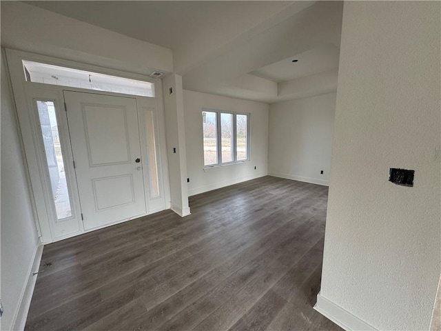 foyer featuring dark hardwood / wood-style floors and a tray ceiling