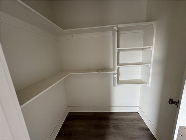 spacious closet with dark hardwood / wood-style flooring