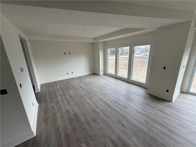 unfurnished living room with a tray ceiling