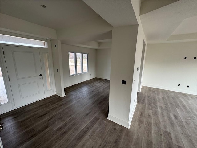 foyer entrance featuring a tray ceiling and dark hardwood / wood-style floors