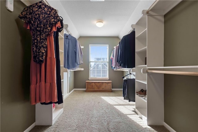 walk in closet with light carpet