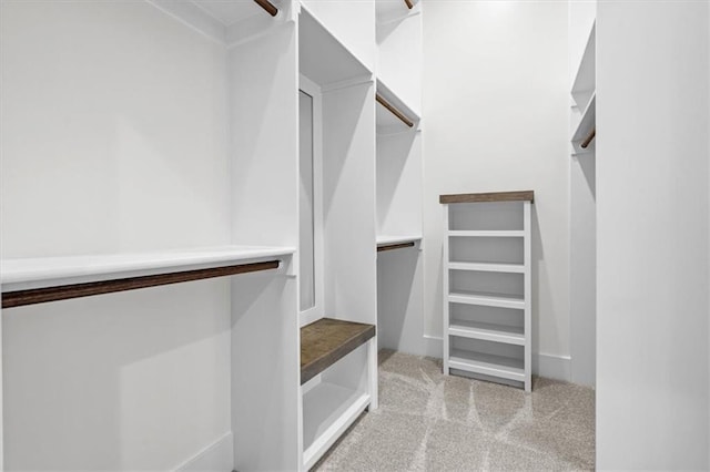 spacious closet with light colored carpet