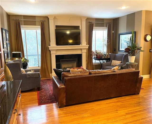 living room with light hardwood / wood-style flooring and a fireplace