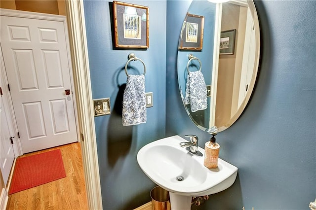 bathroom featuring wood-type flooring and sink