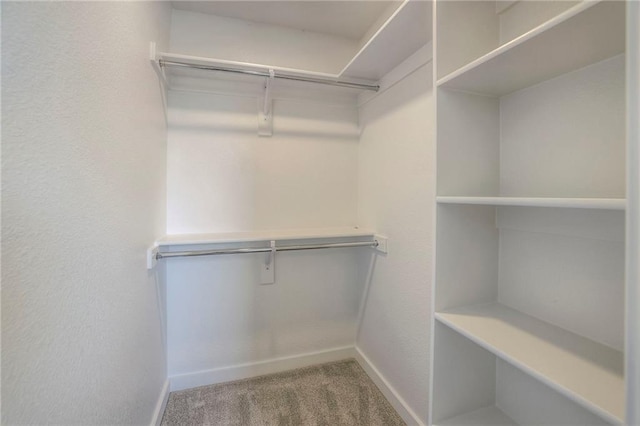 walk in closet with carpet