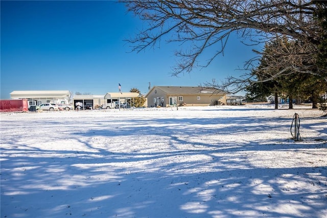 view of yard covered in snow