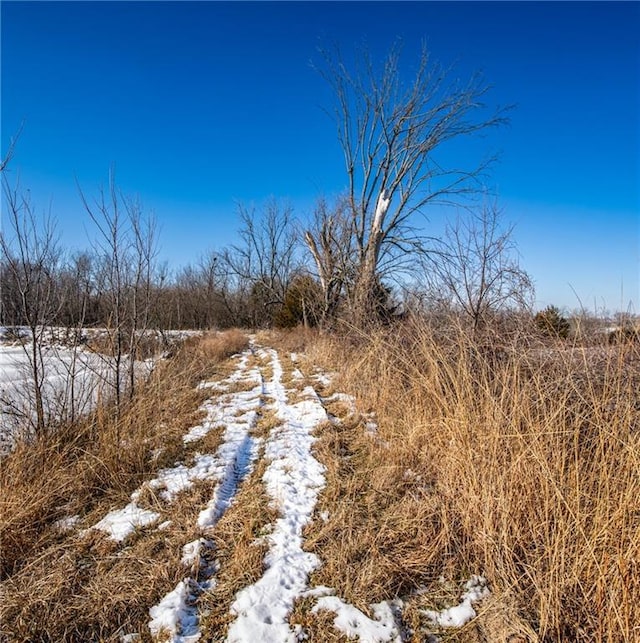 view of snowy landscape