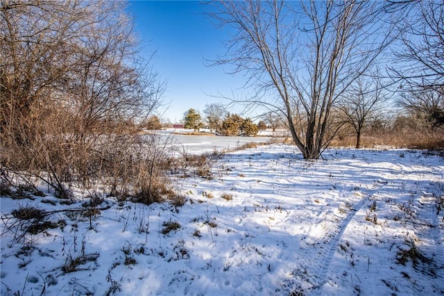 view of yard covered in snow