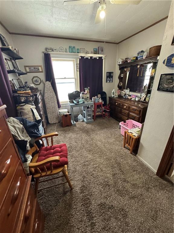 interior space featuring carpet, ceiling fan, and crown molding