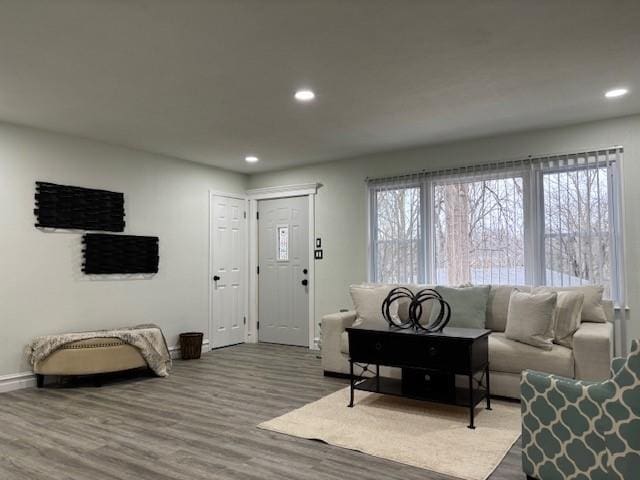 living room featuring hardwood / wood-style flooring