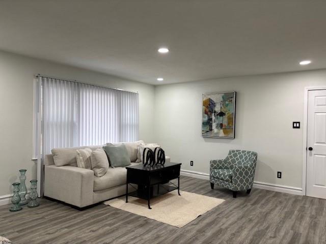 living room featuring hardwood / wood-style floors