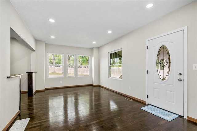 foyer entrance featuring dark wood-type flooring