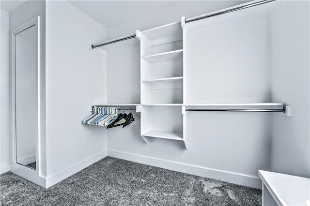 walk in closet with dark colored carpet