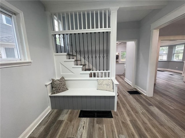 stairs featuring plenty of natural light and wood-type flooring