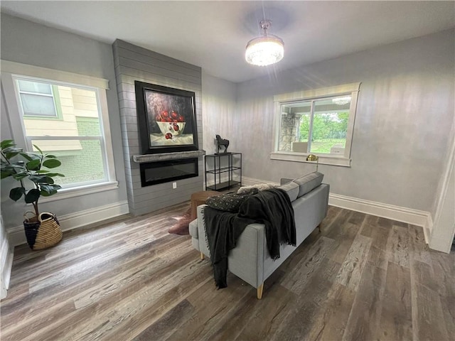 living room featuring a healthy amount of sunlight, a fireplace, and wood-type flooring