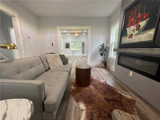 living room with hardwood / wood-style floors