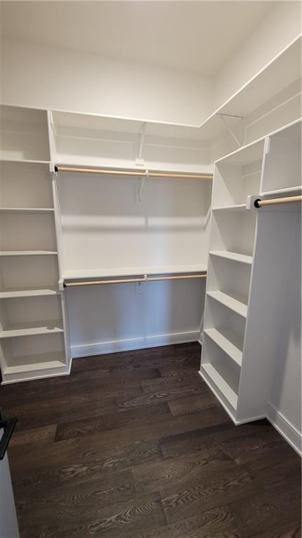 spacious closet with dark hardwood / wood-style flooring