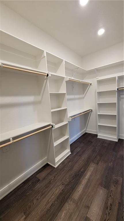 spacious closet featuring dark hardwood / wood-style floors