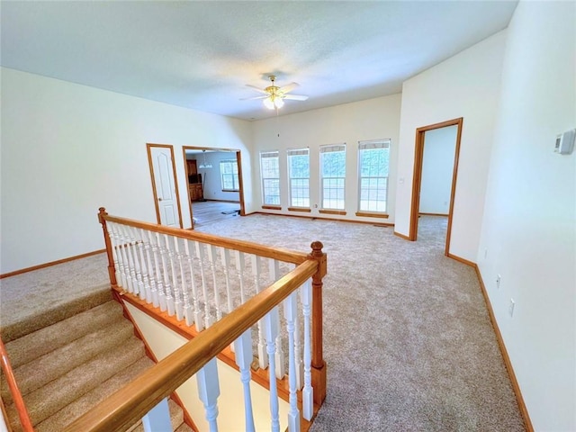 stairs with ceiling fan and carpet floors