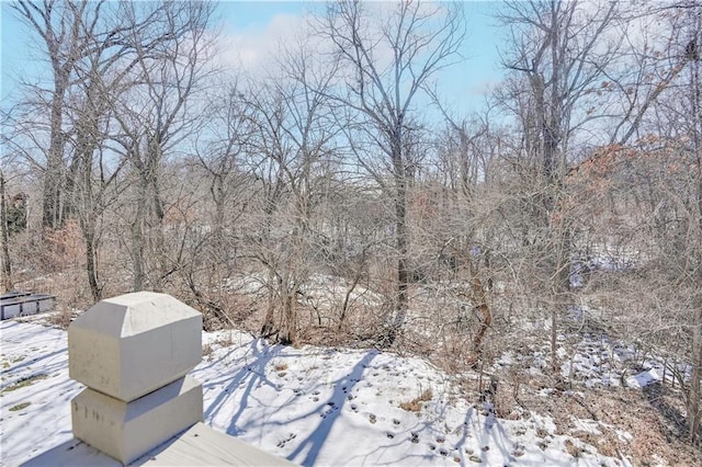 view of yard layered in snow