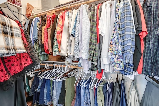 view of walk in closet