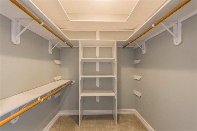 spacious closet featuring carpet flooring