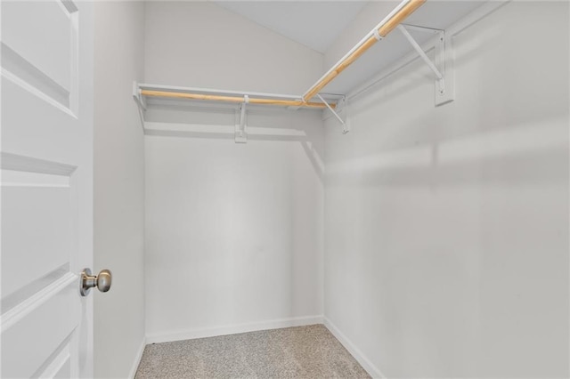 spacious closet featuring carpet