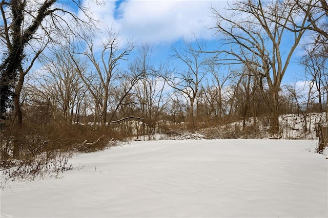 view of snowy yard