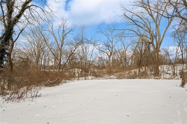 view of yard covered in snow