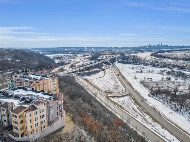 3810 N Mulberry Dr Unit 301, Kansas City, MO 64116 - photo 52