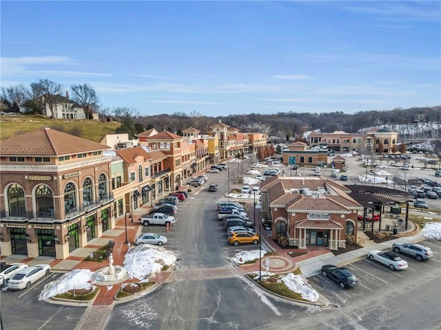 3810 N Mulberry Dr Unit 301, Kansas City, MO 64116 - photo 55
