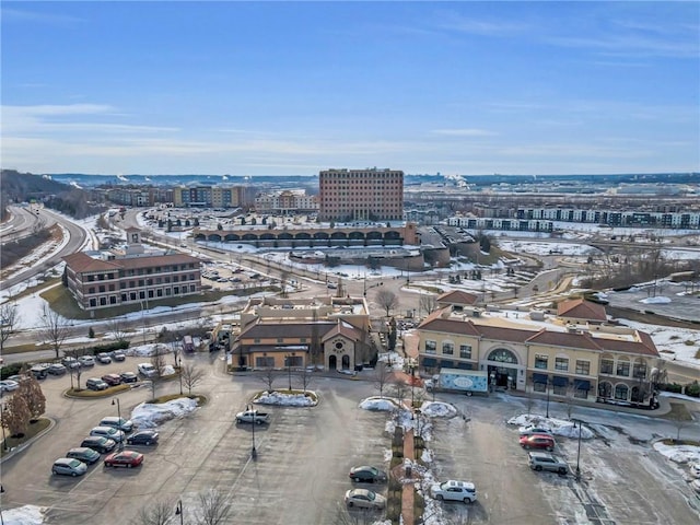 3810 N Mulberry Dr Unit 301, Kansas City, MO 64116 - photo 58