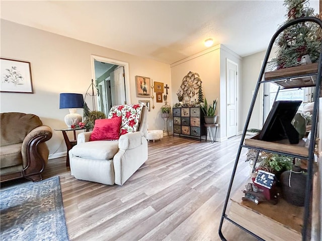 living room with light hardwood / wood-style flooring