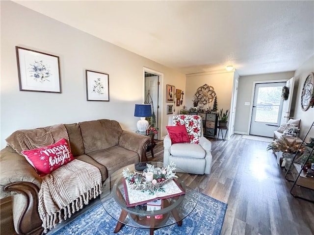 living room featuring hardwood / wood-style flooring