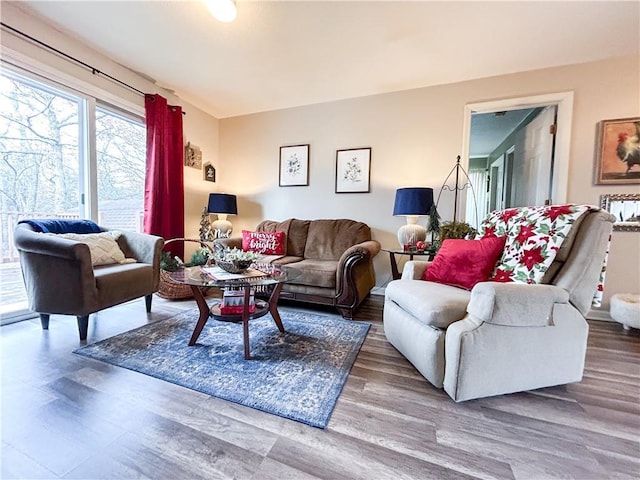 living room with hardwood / wood-style floors