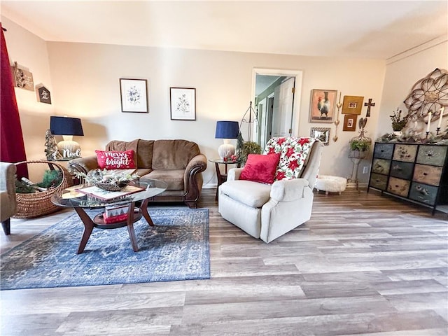 living room featuring light hardwood / wood-style floors