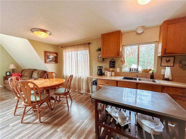 kitchen featuring sink, plenty of natural light, and light hardwood / wood-style floors